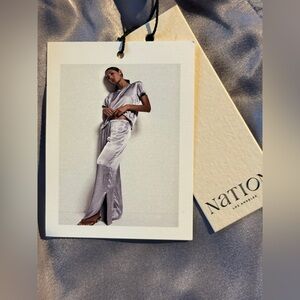 Nation LTD Silver Satin pants